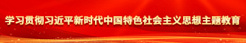 狂干美女逼学习贯彻习近平新时代中国特色社会主义思想主题教育